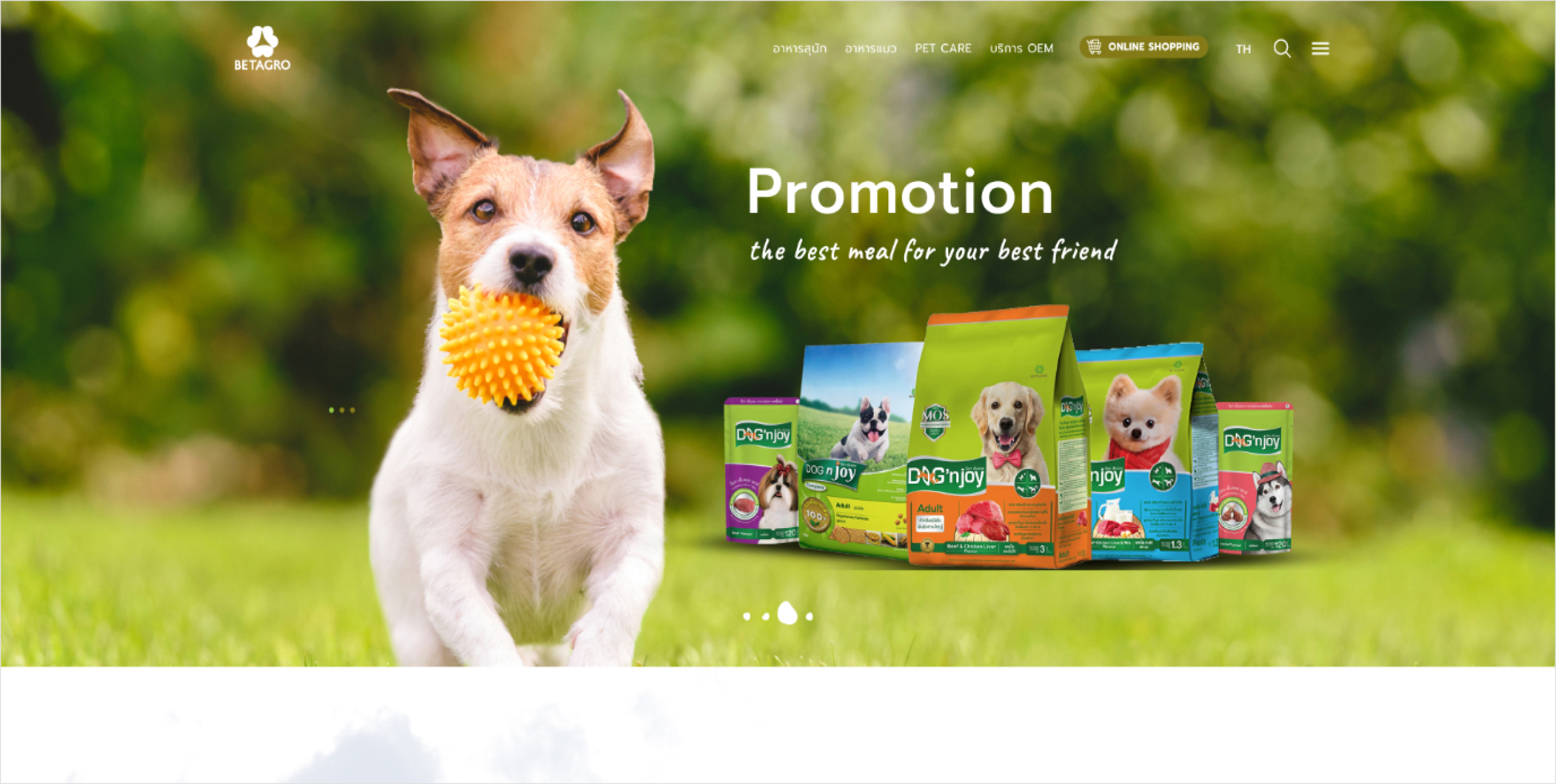 Betagro Pet project preview